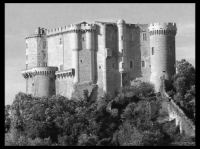 Chateau de Suze-la-rousse (34)